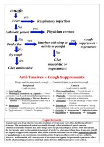 صفحة من ملف أنواع السعال واختيار الدواء المناسب pdf