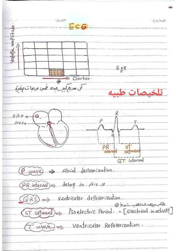 ملخص ECG PDF