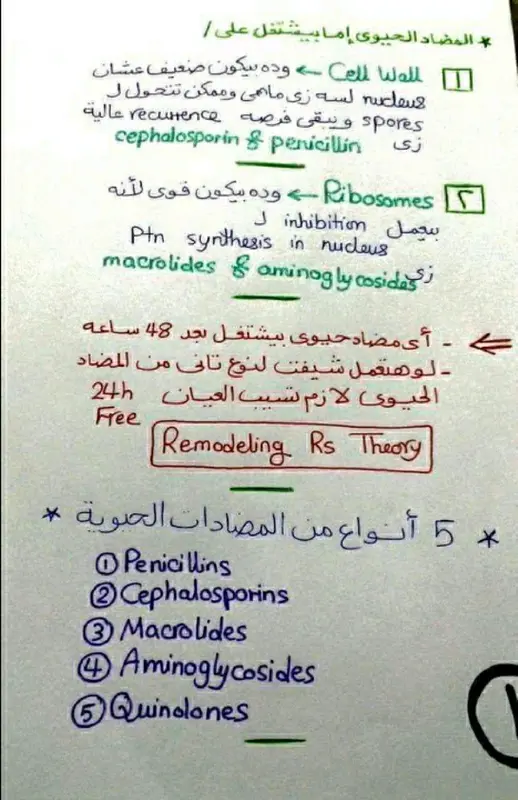 ملخص المضادات الحيوية في 13 ورقة pdf