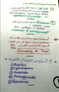 جميع المضادات الحيوية في 13 ورقة pdf
