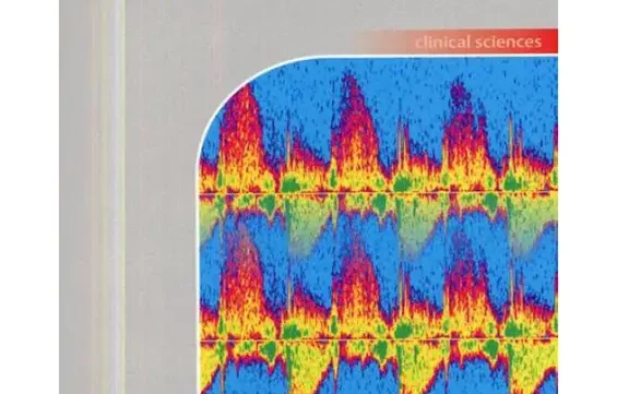 كتاب Pocket Atlas of Echocardiography pdf
