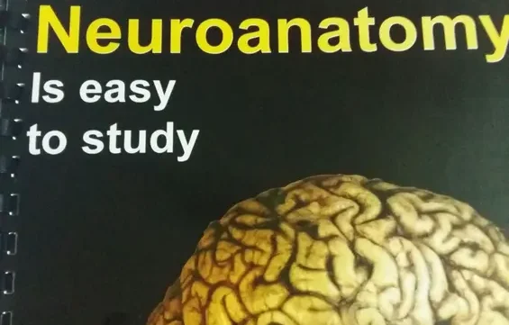 كتاب Summary of Neuroanatomy pdf