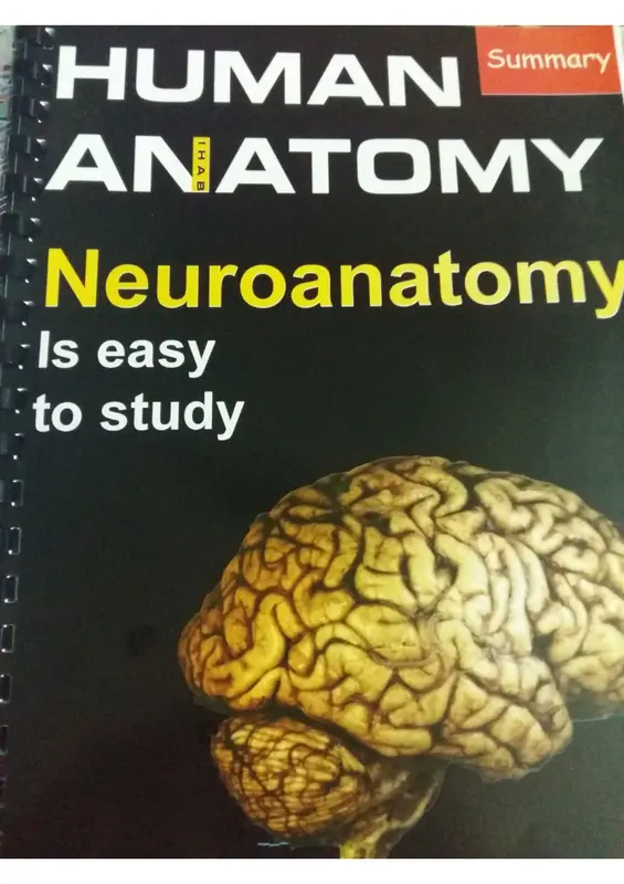 كتاب Summary of Neuroanatomy pdf