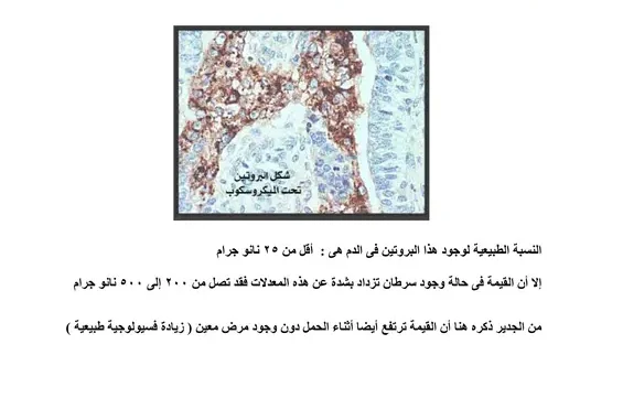 كتاب التحاليل الطبية ودلالاتها المرضية pdf