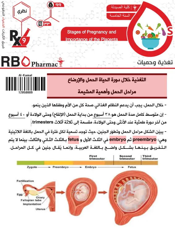التغذية خلال الحمل والإرضاع pdf