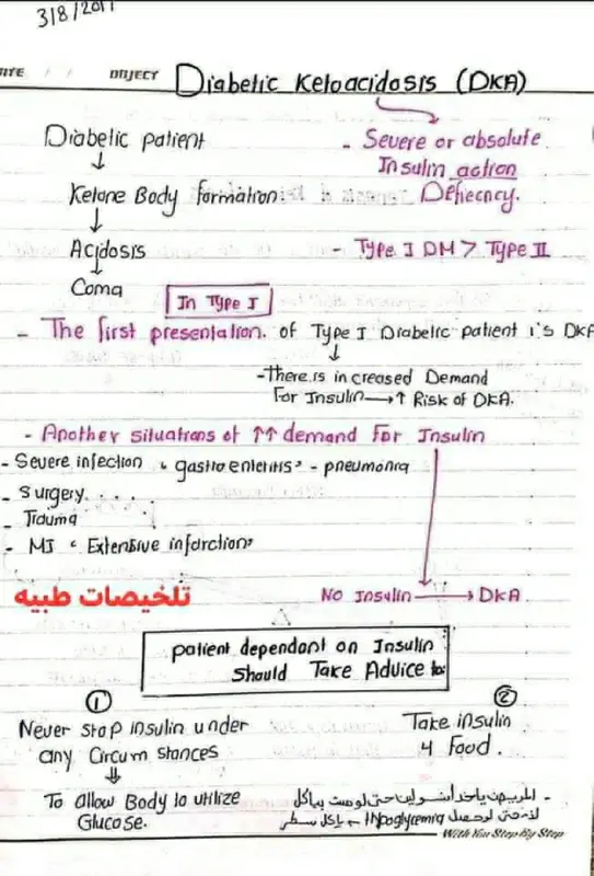 ملخص شرح DKA pdf