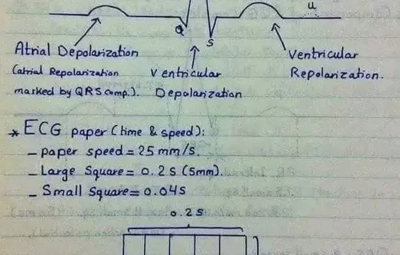ملخص ecg في 9 صفحات pdf