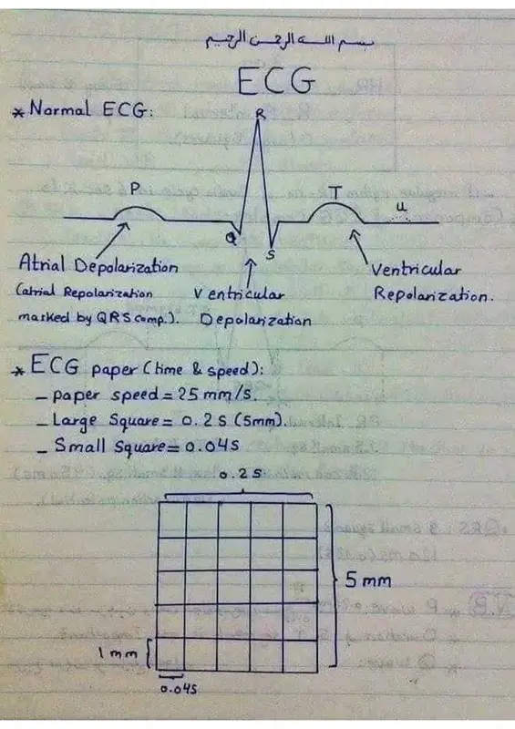 ملخص ecg في 9 صفحات pdf